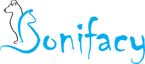 logo Bonifacy